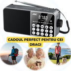 Radio Portabil FM, Cablu USB, microSD, Lanterna LED, Acumulator 18650, Conectivitate Bluetooth, Gri FEROTIB