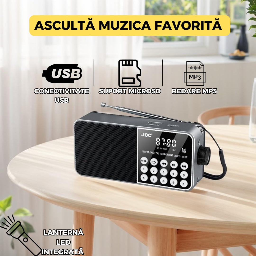 Radio Portabil FM, Cablu USB, microSD, Lanterna LED, Acumulator 18650, Conectivitate Bluetooth, Gri FEROTIB